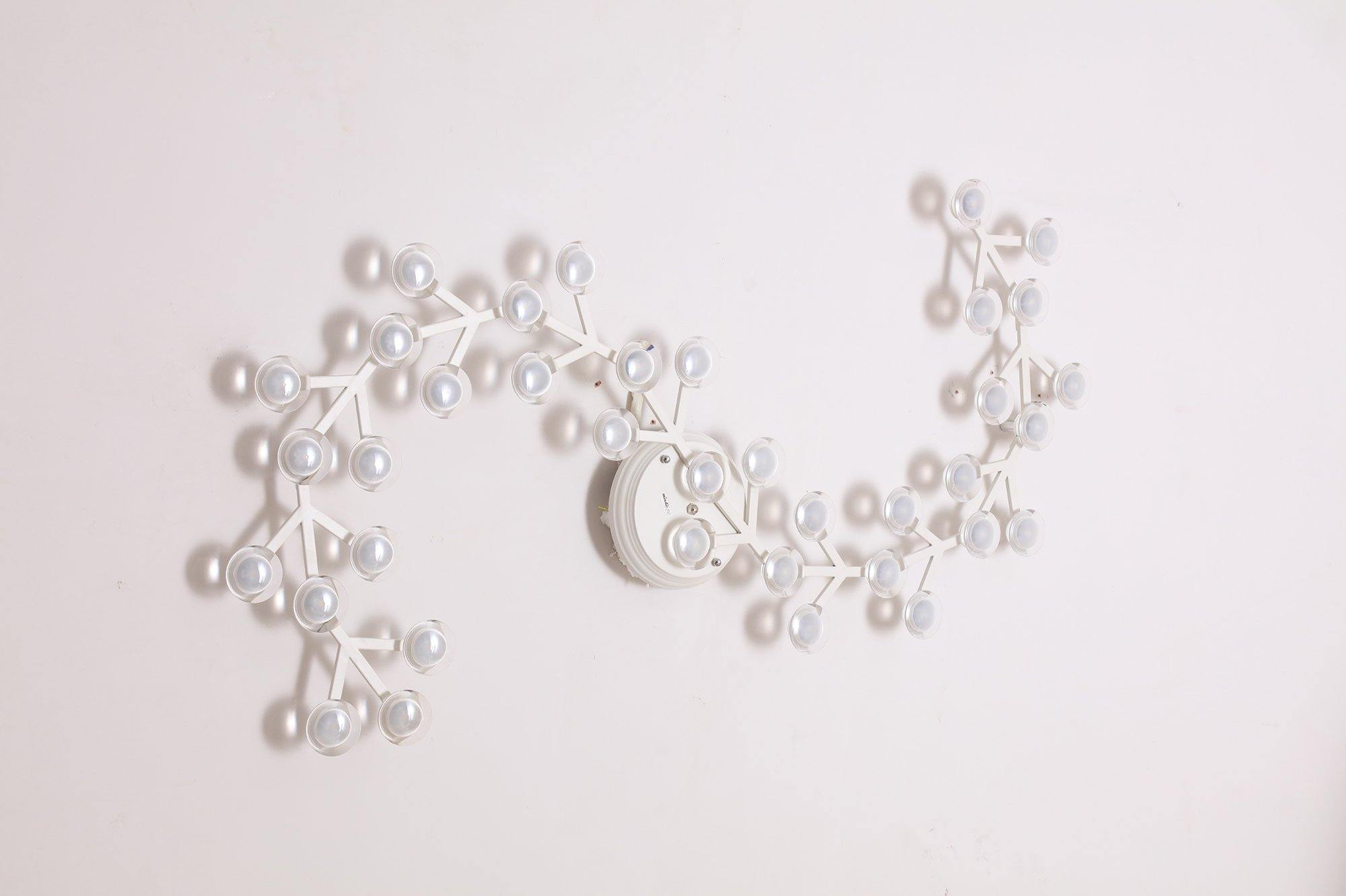 LEDネットシーリングランプ