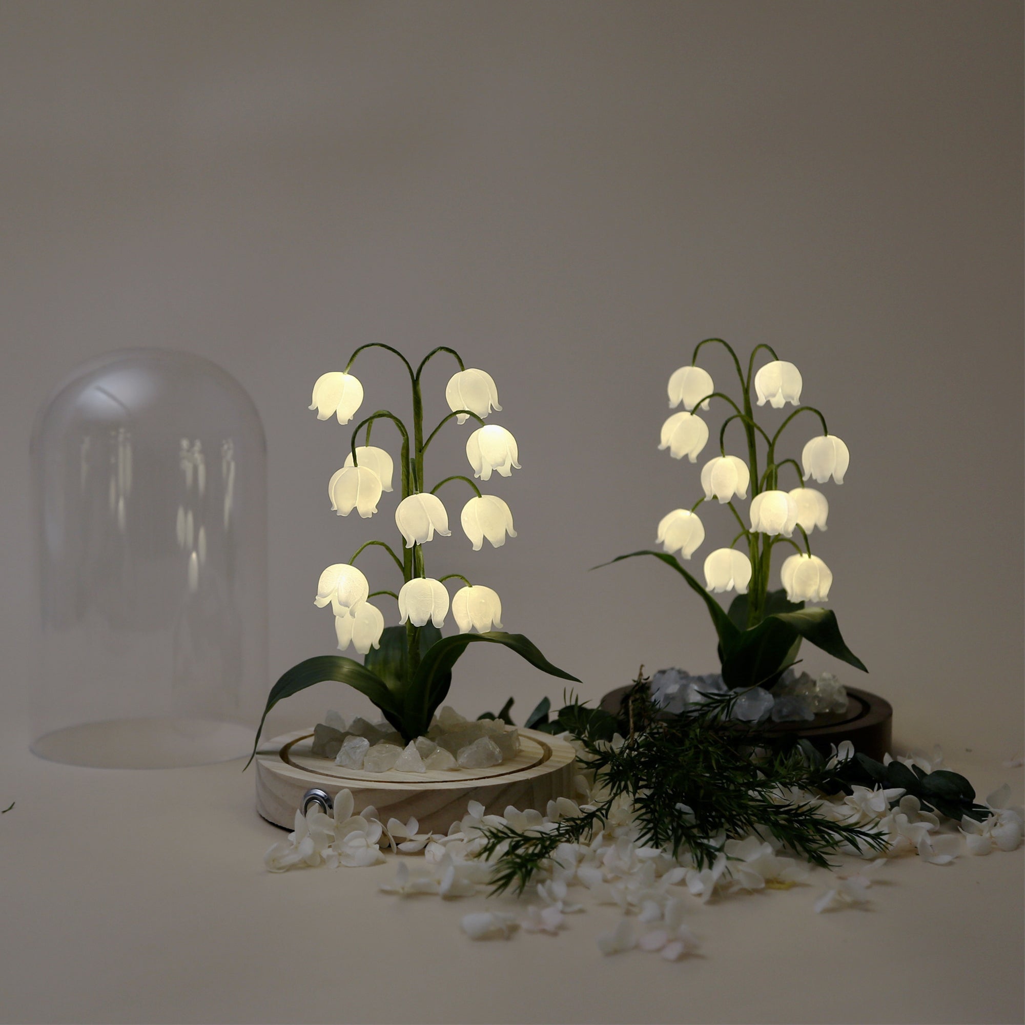 ベルオーキッド ウォームナイトライト