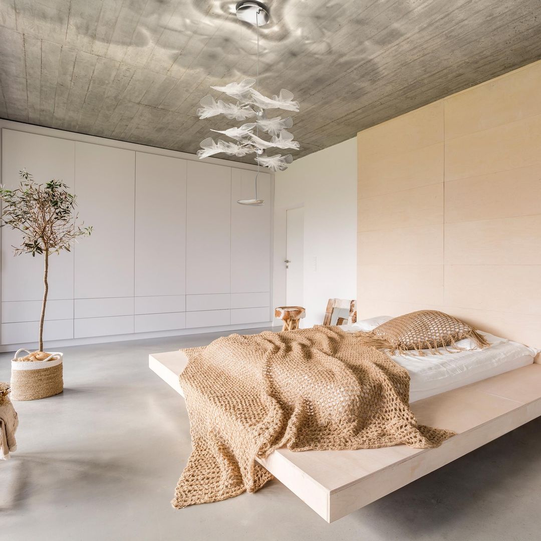 クロロフィリアサスペンションライト