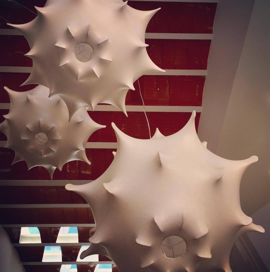 Taraxacum Suspension Lamp