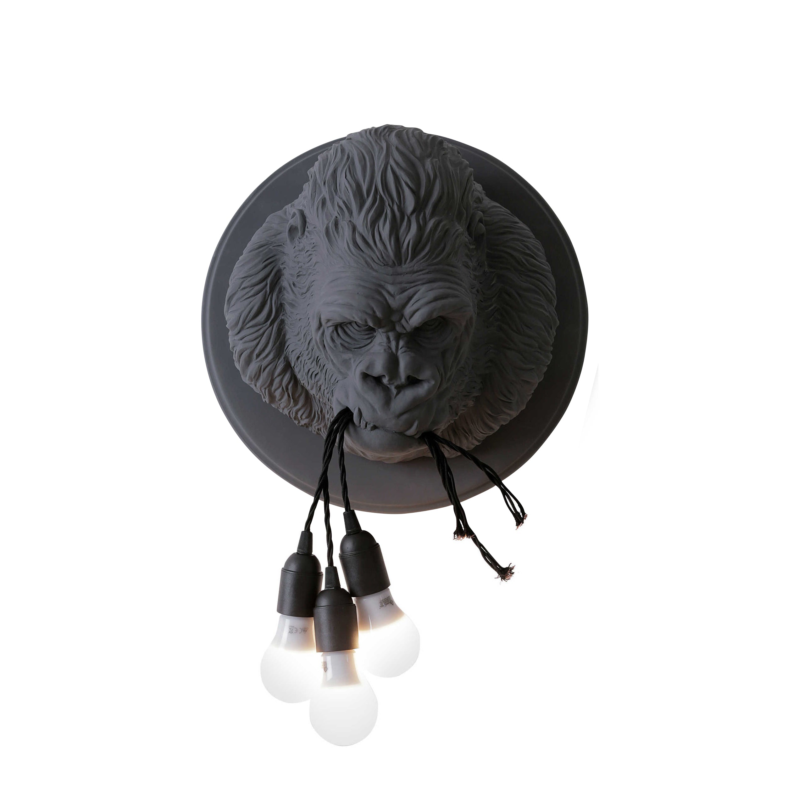 Rilla Wall Sconce