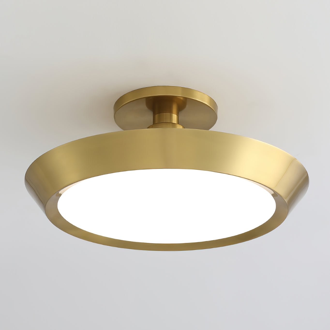 厚い楕円形の天井照明