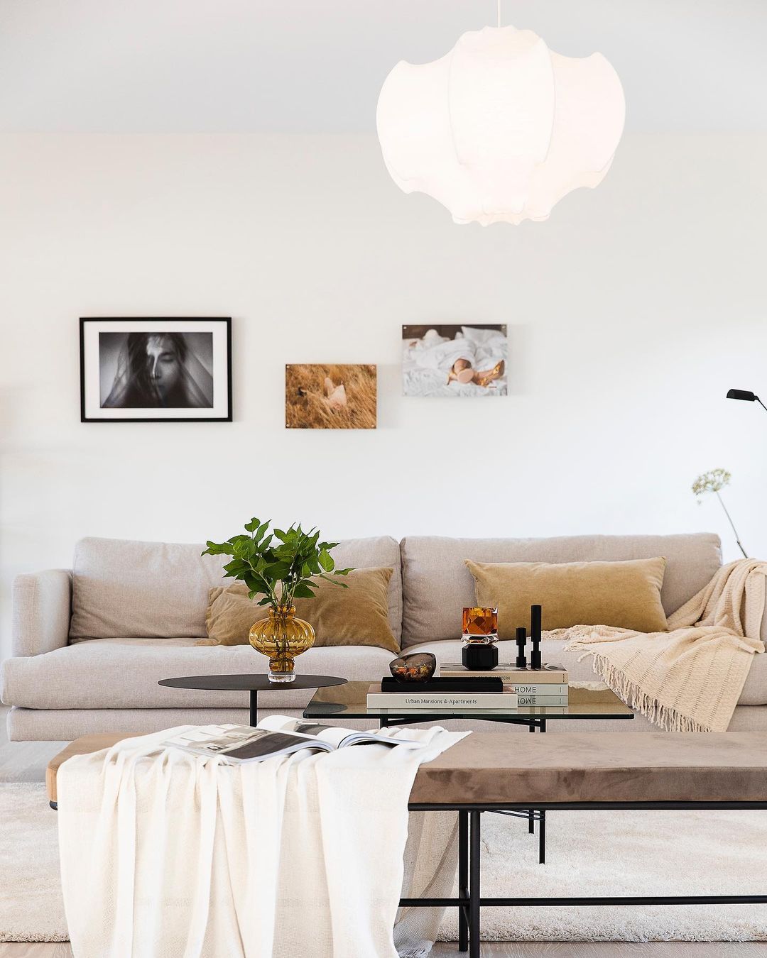 Taraxacum Suspension Lamp