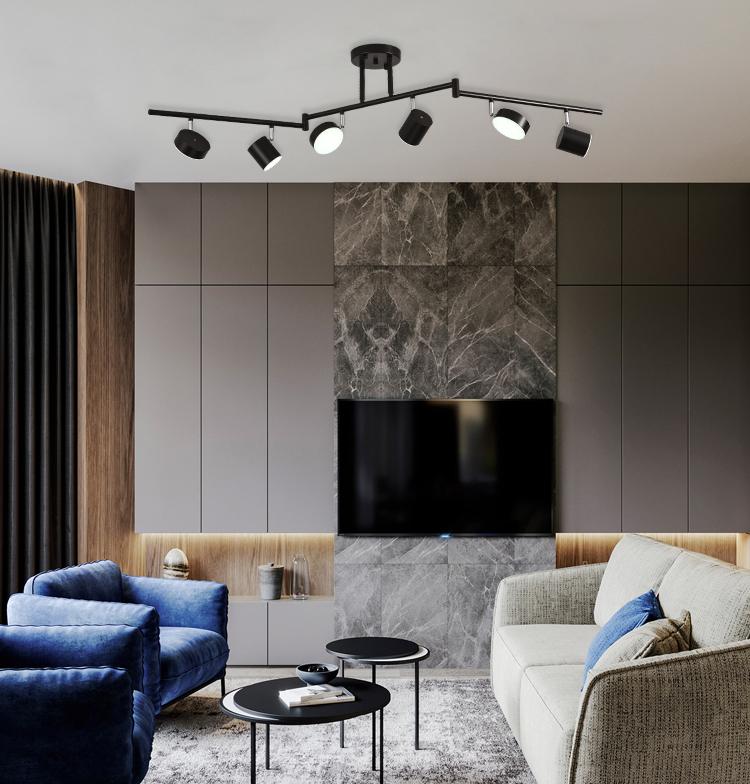 トラックライト シーリングライト