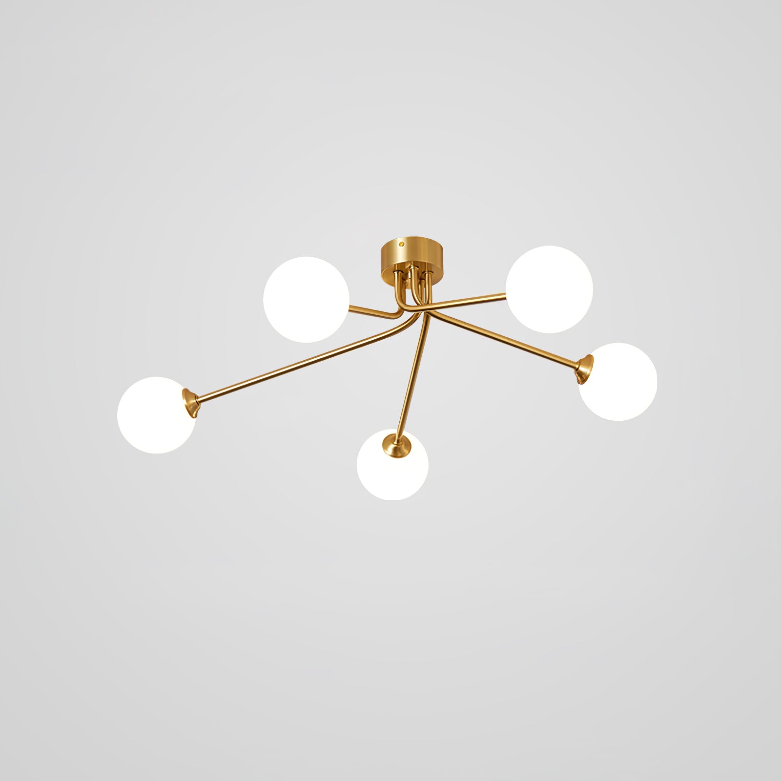 モレラ ボール シーリング ライト