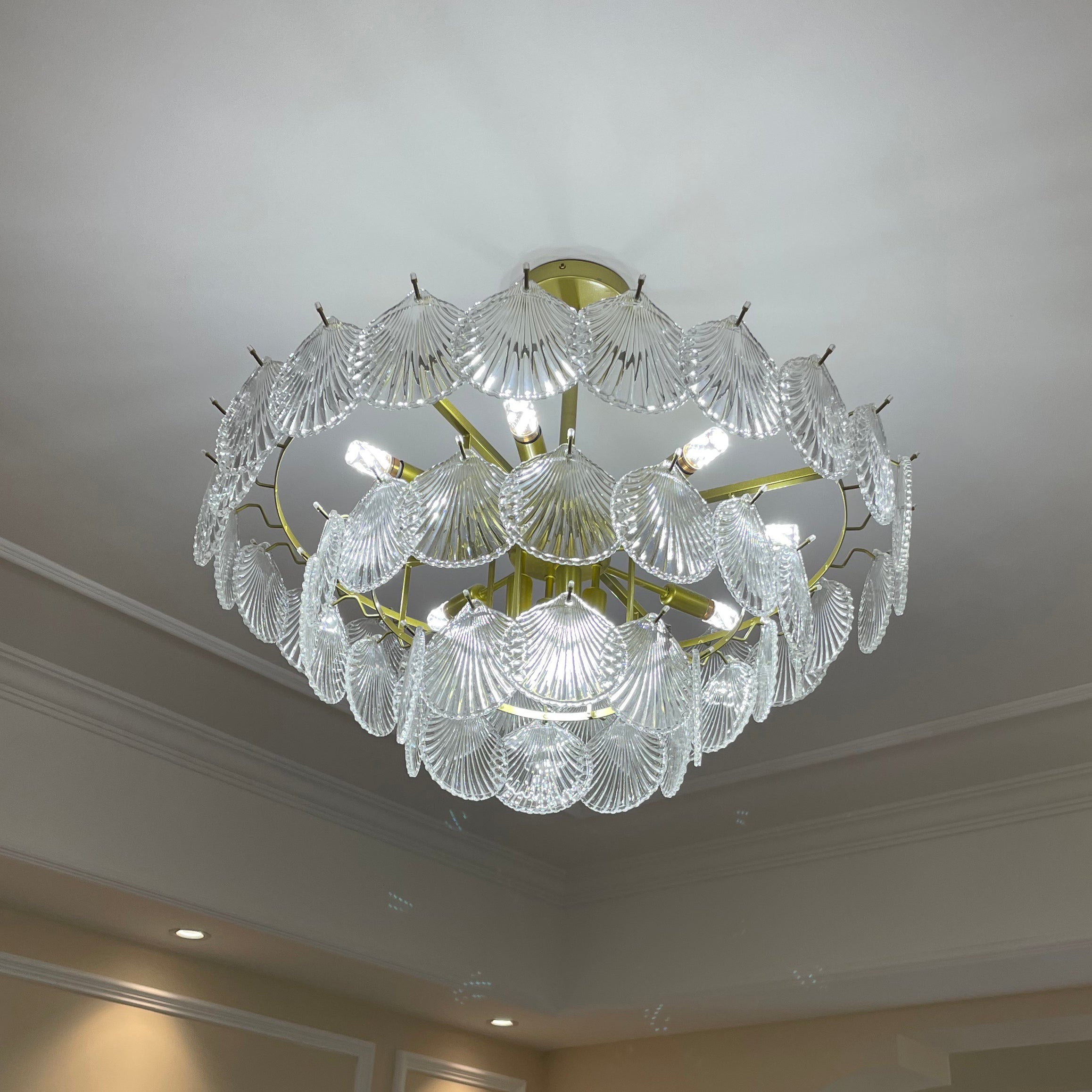 Shell Glass chandelier