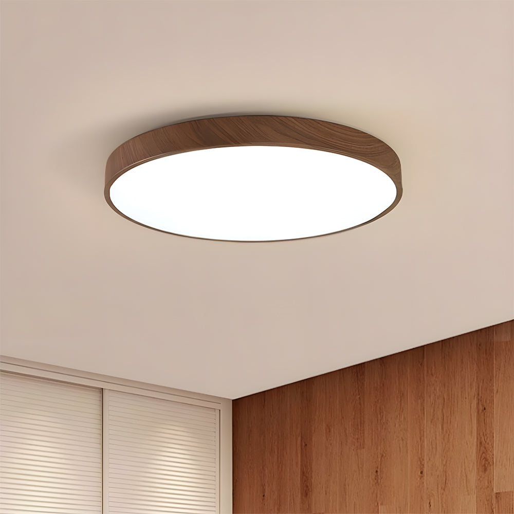 モダンな天井ランプ リビングルーム LED照明