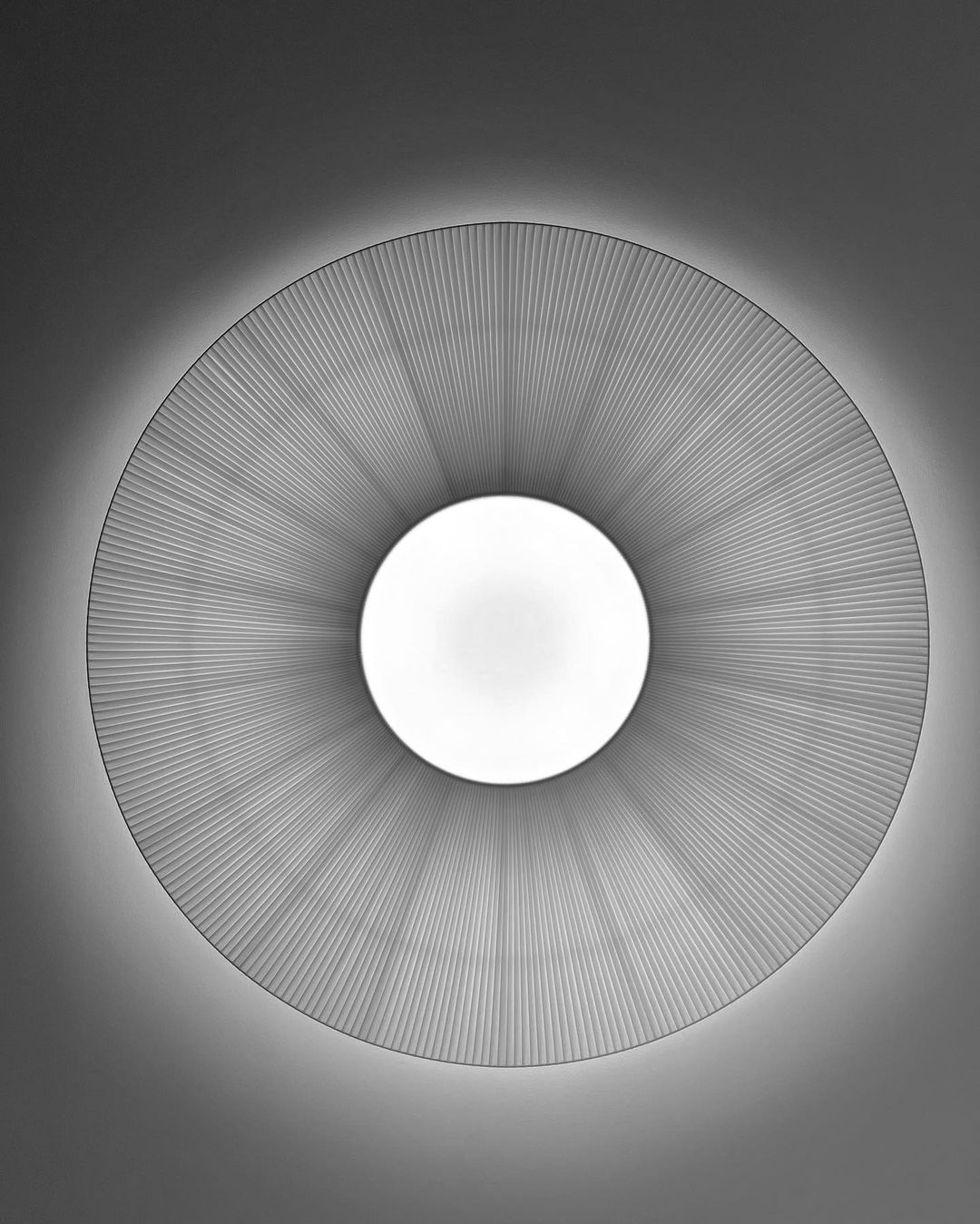 サイアム シーリングライト