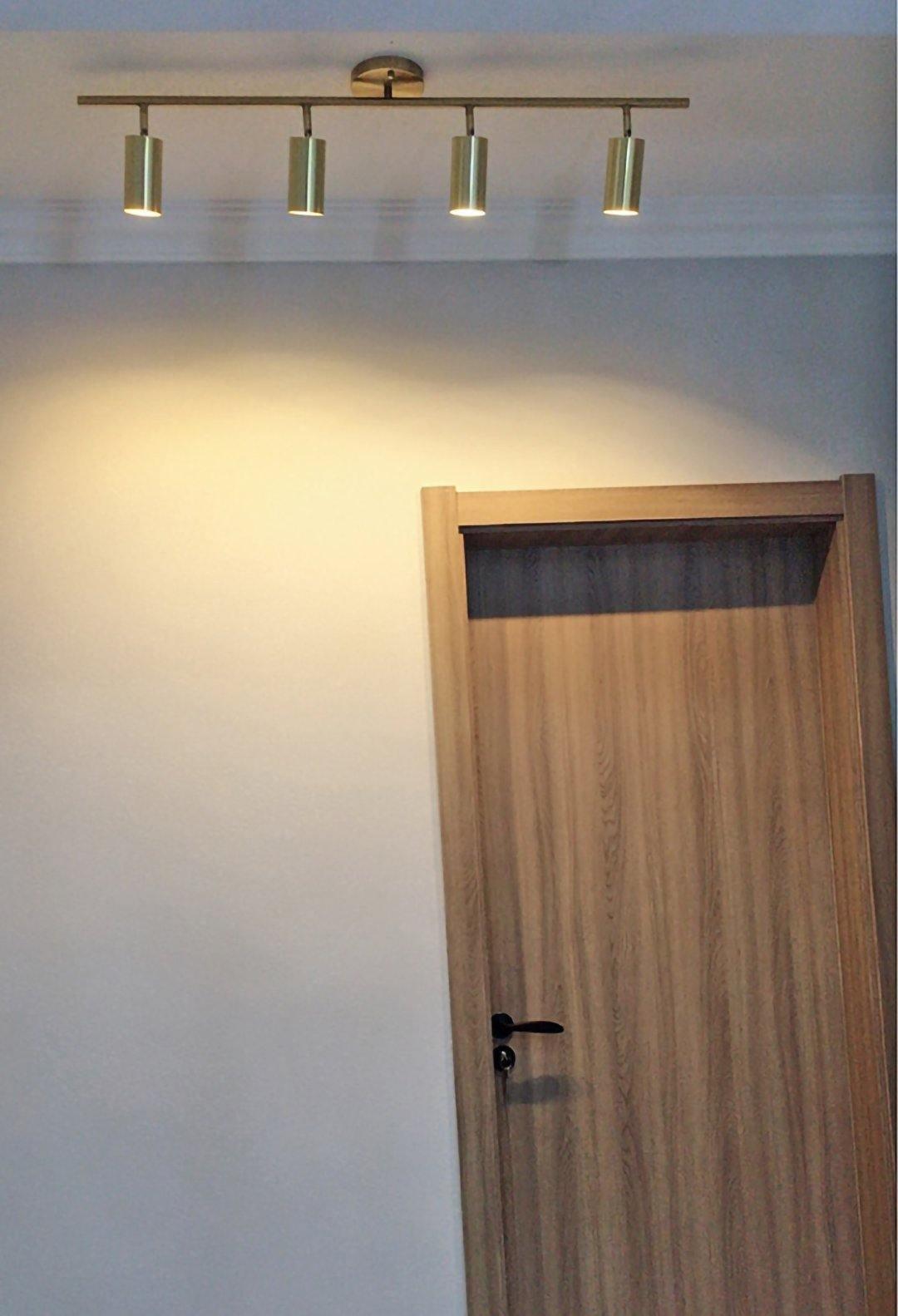 Modern Delia Ceiling Lamp