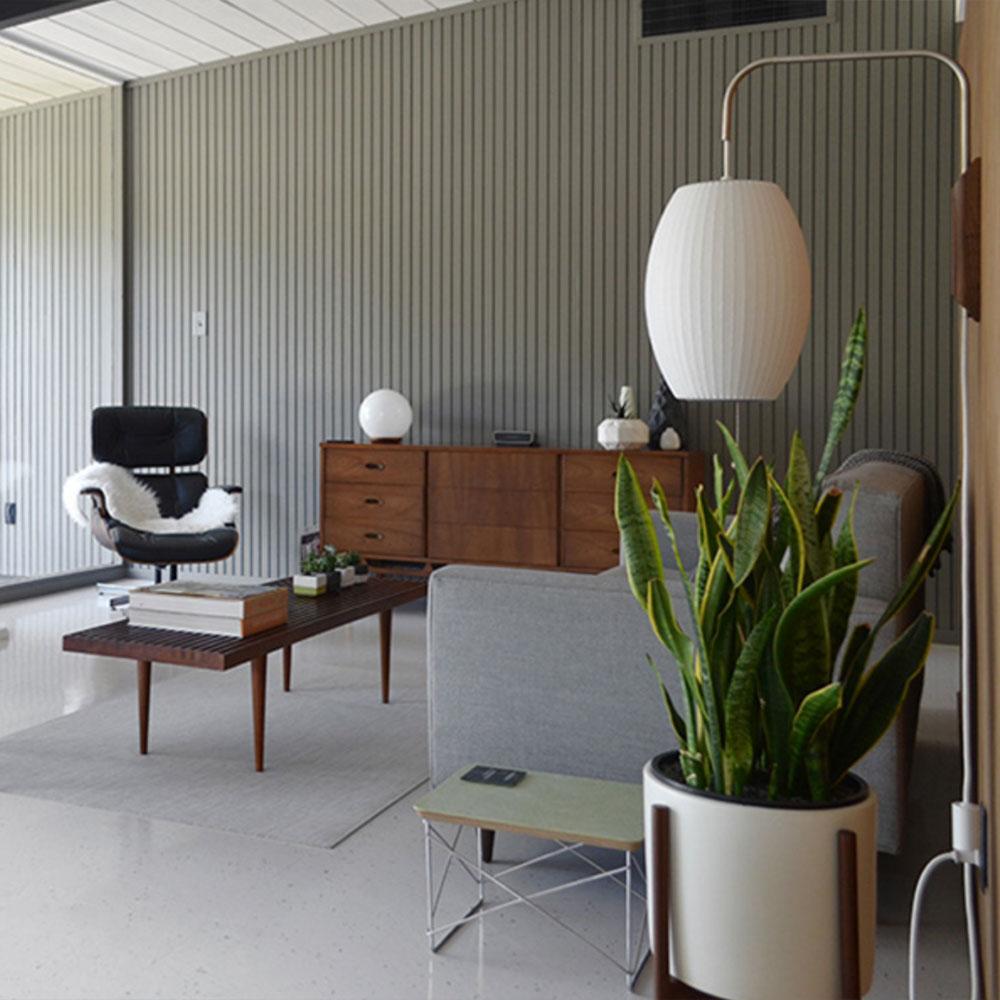 ネルソン ウォール スコンセ