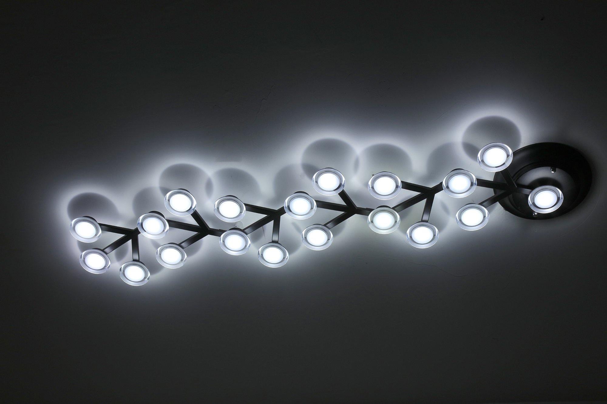 LED Net Ceiling Lamp