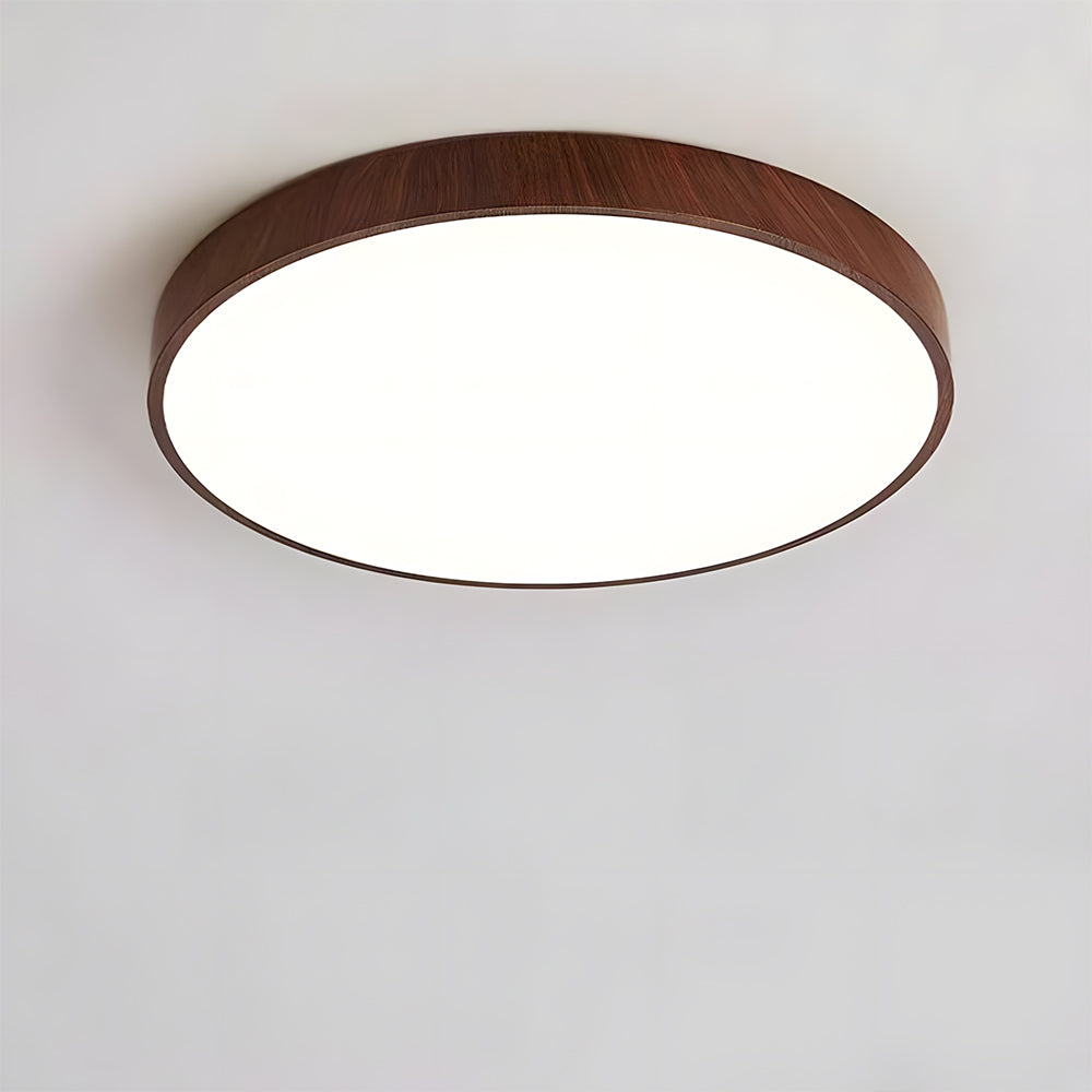 モダンな天井ランプ リビングルーム LED照明