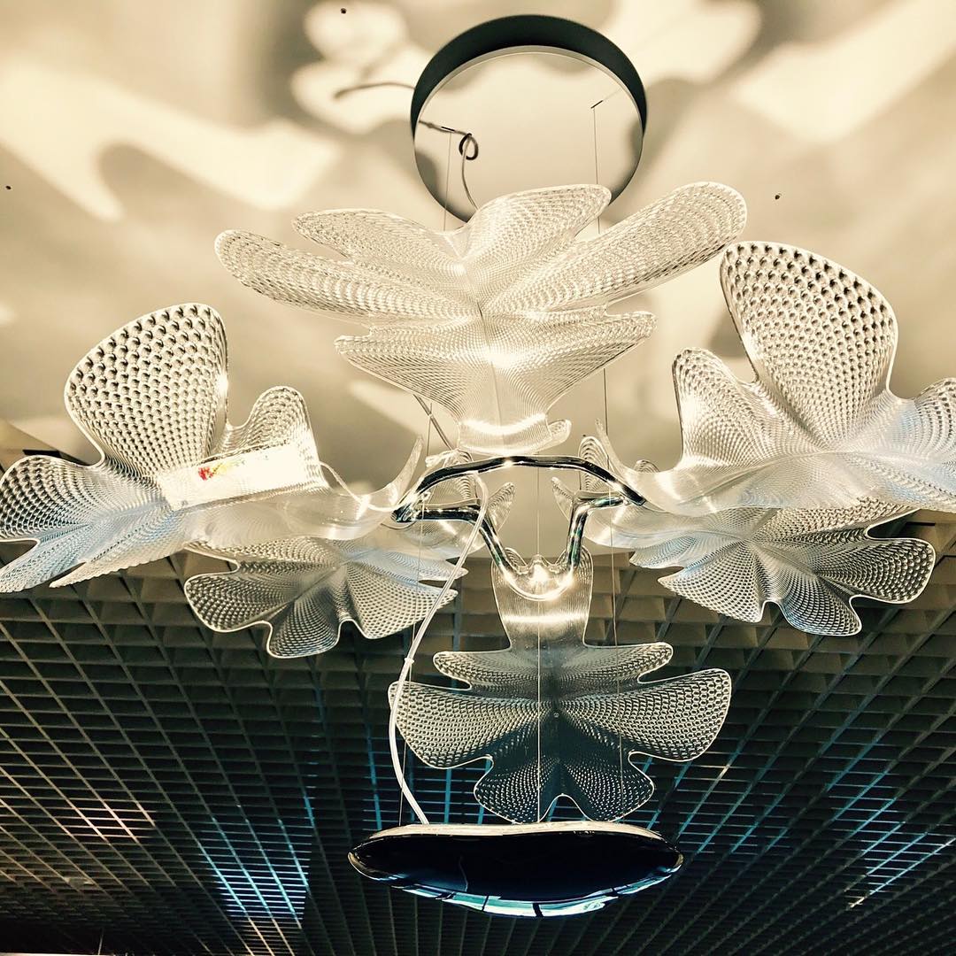 Chlorophilia Suspension Light