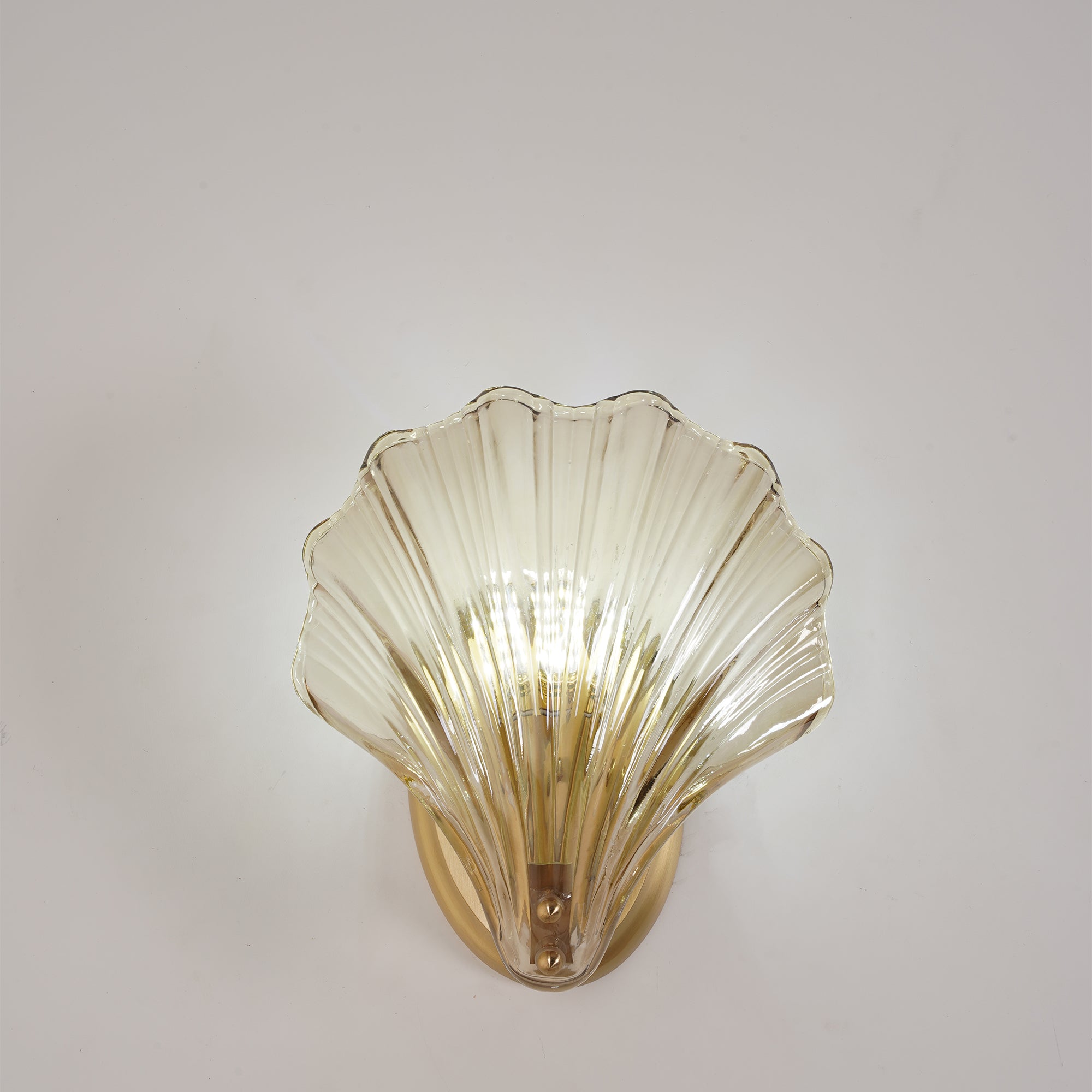 Shell Wall Light
