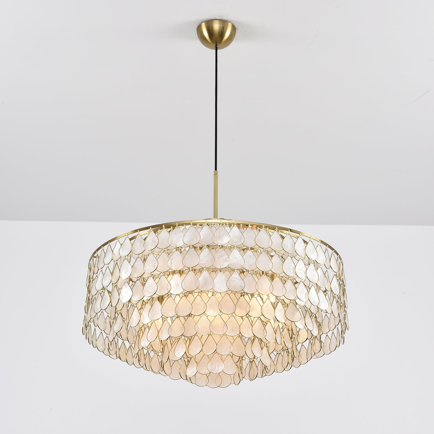 Abbington Shell Chandelier