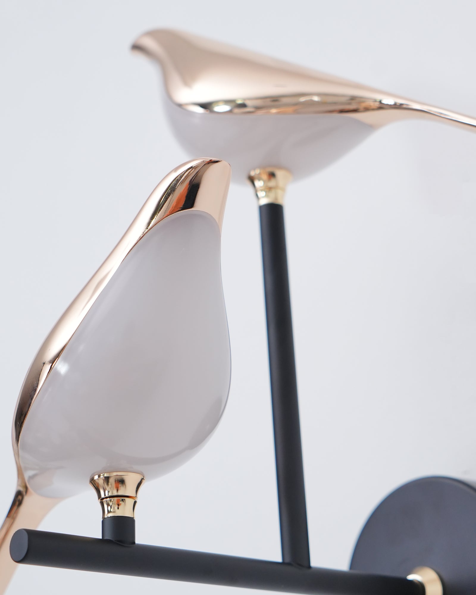 ノミ ウォールランプ