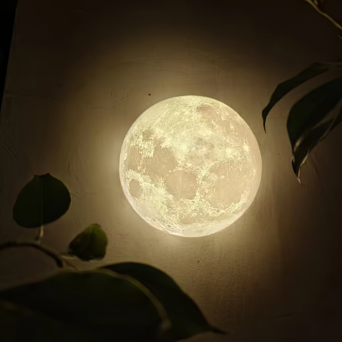 Hemisphere Moon Wall Lamp