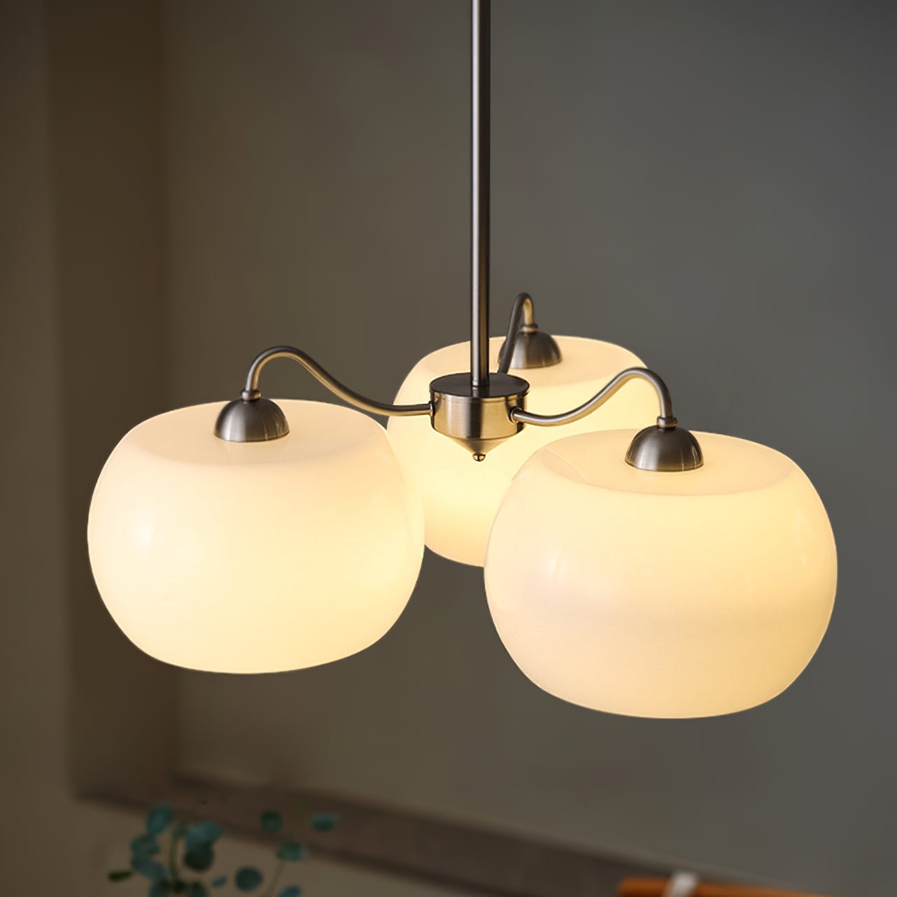 モリシオシャンデリア