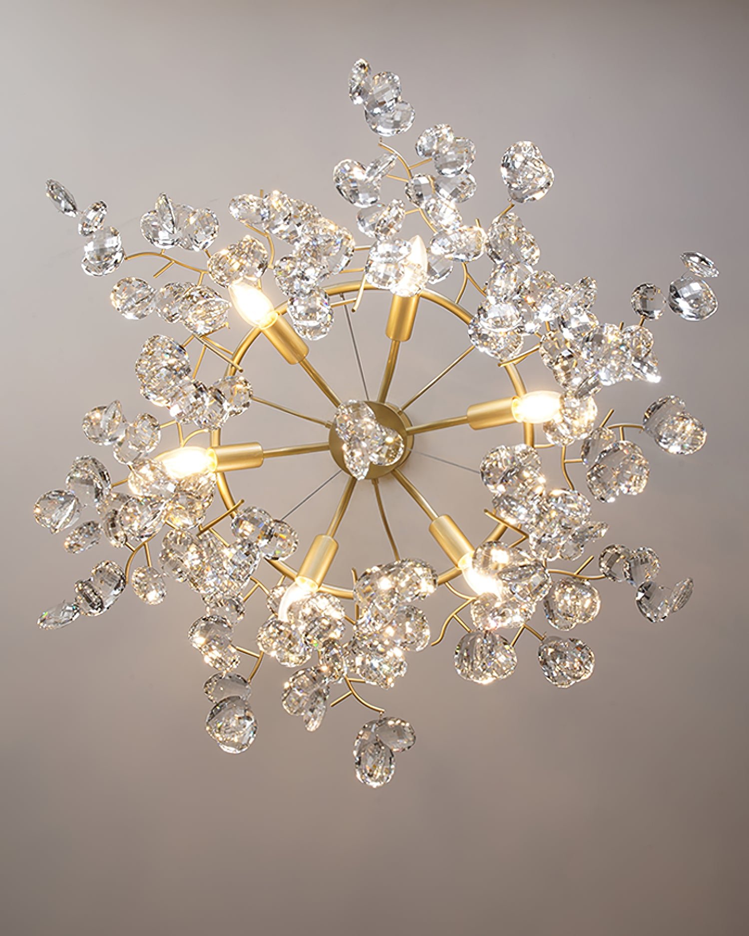 Sofia Chandelier