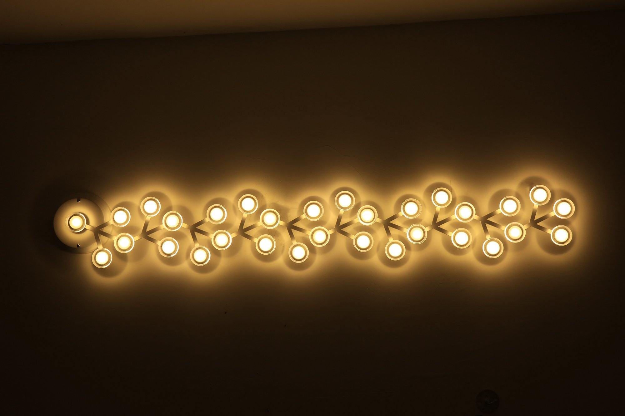 LED Net Ceiling Lamp