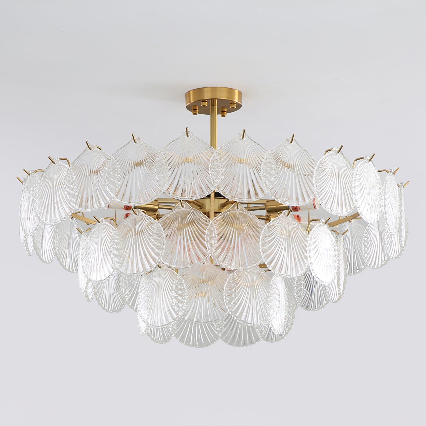 Shell Glass chandelier
