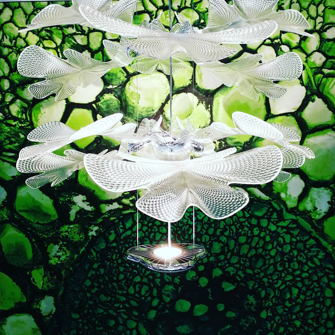 クロロフィリアサスペンションライト