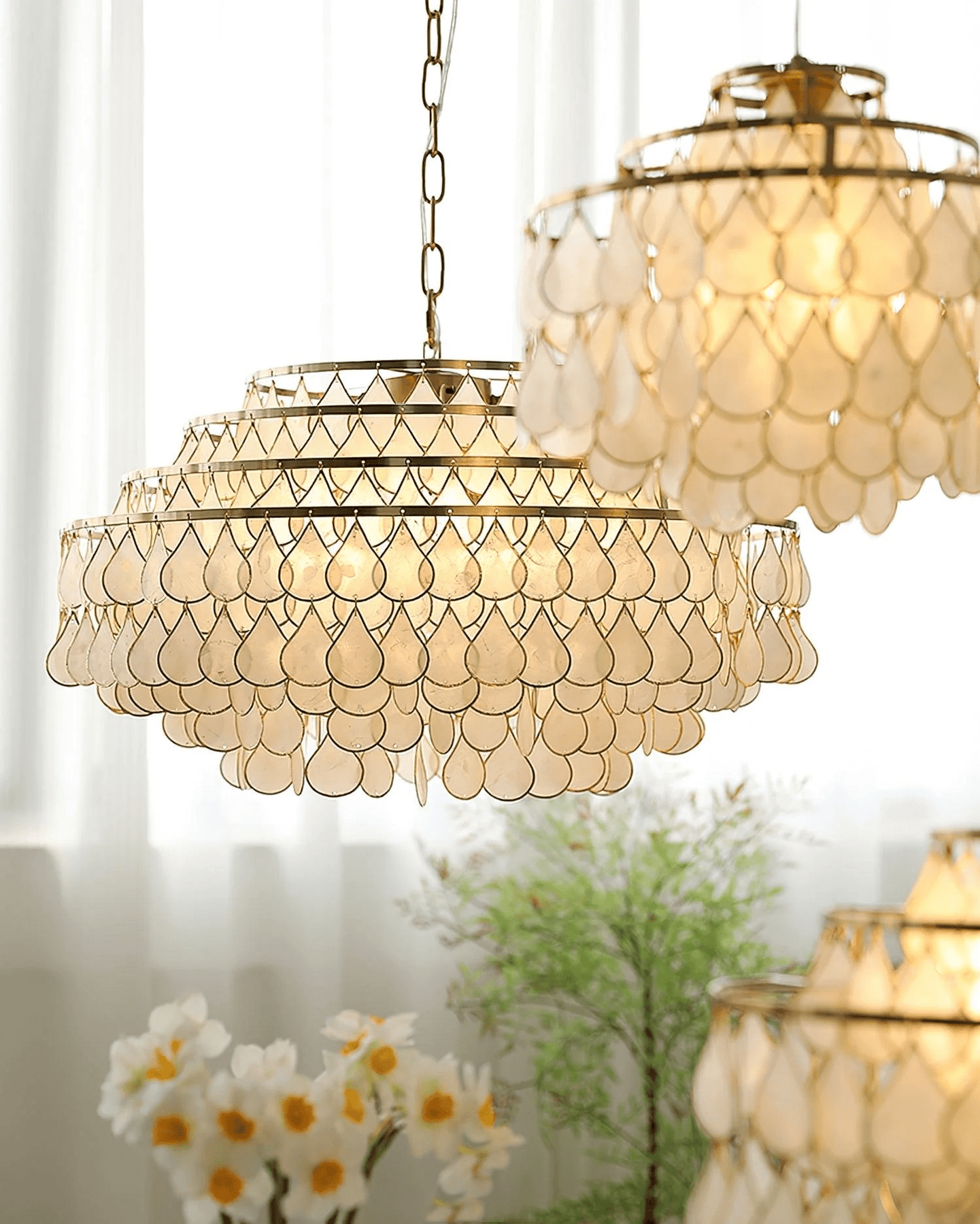 Abbington Shell Chandelier