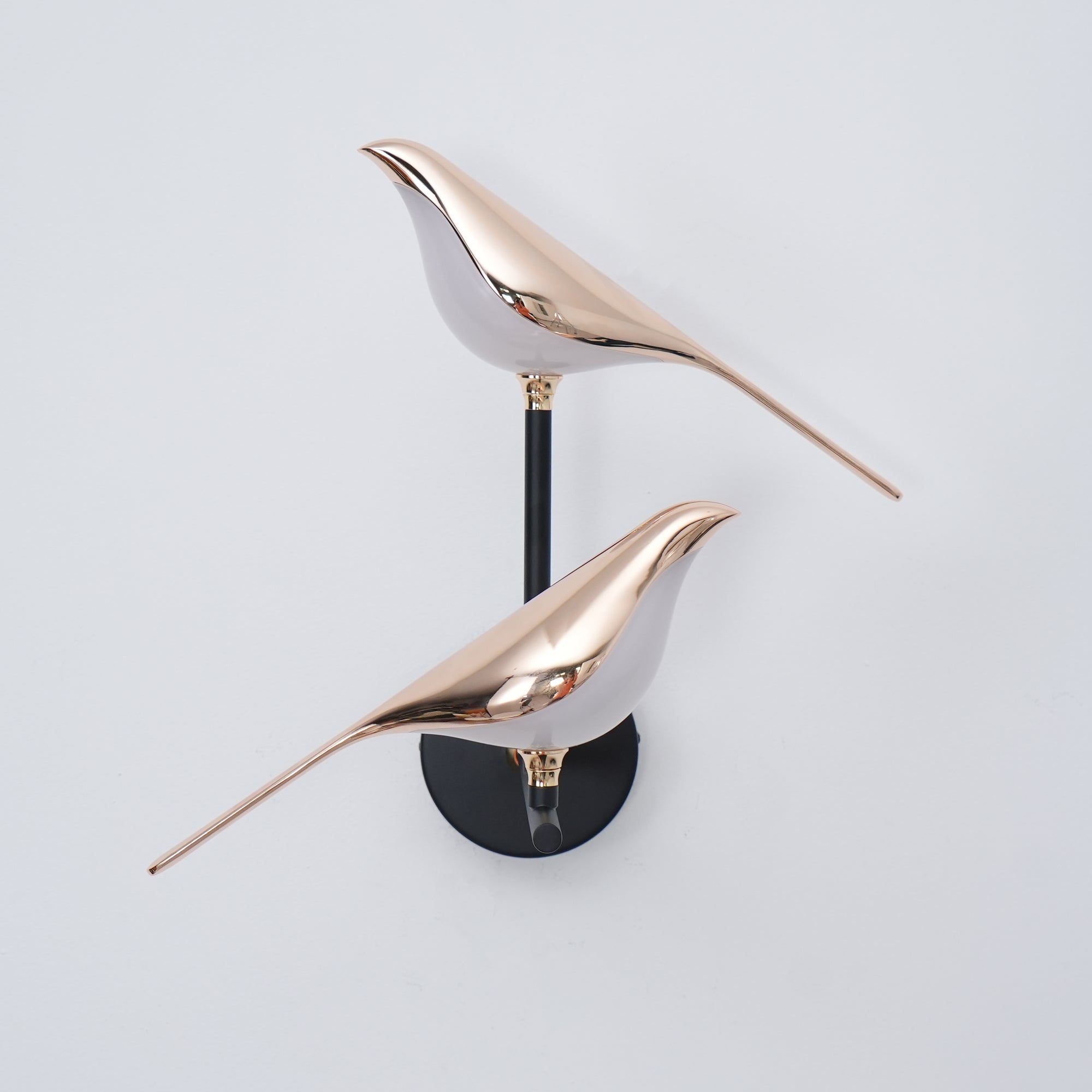 ノミ ウォールランプ