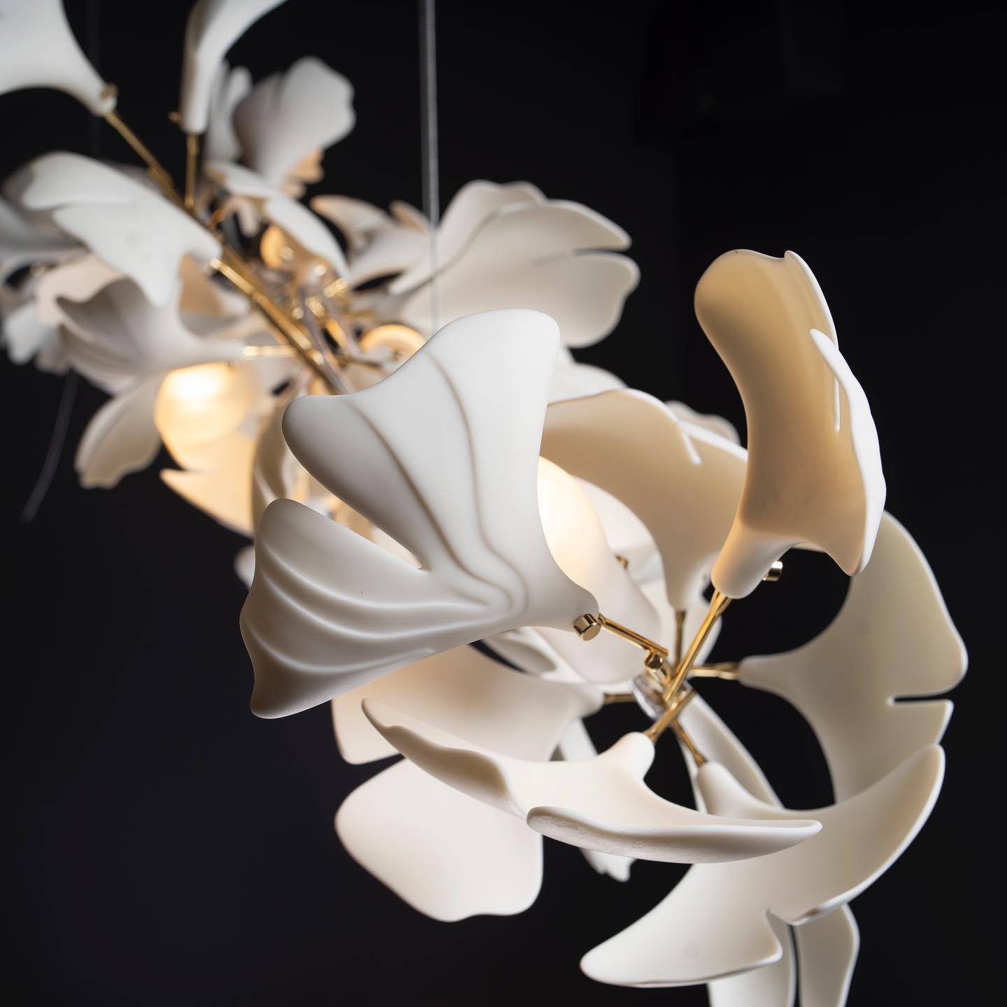 Gingko Chandelier O
