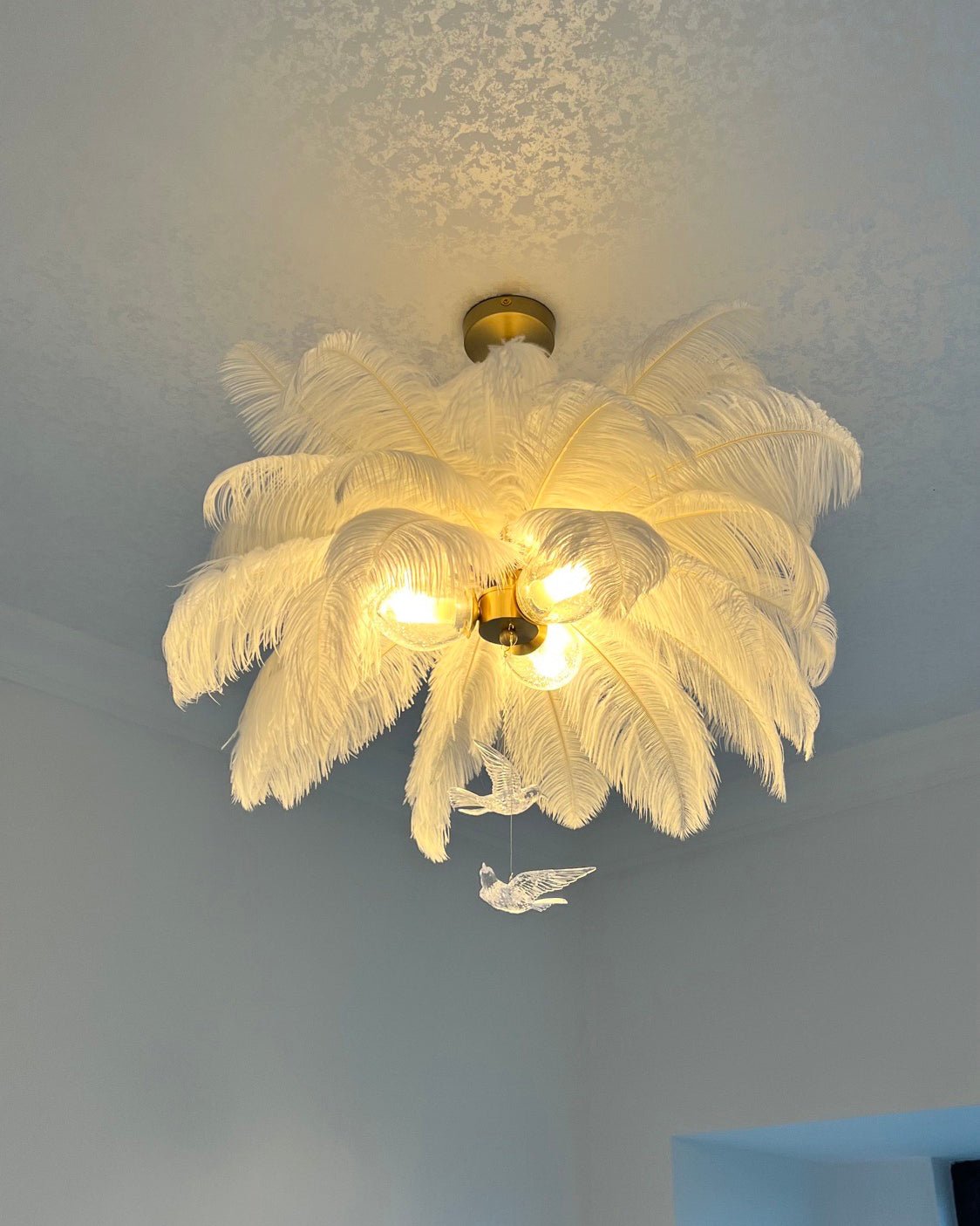 Ostrich Feather Chandelier