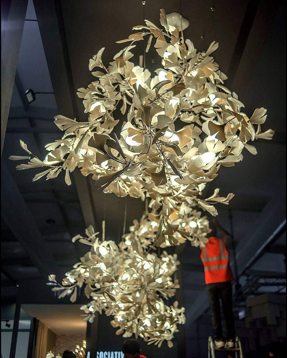 Gingko Chandelier F