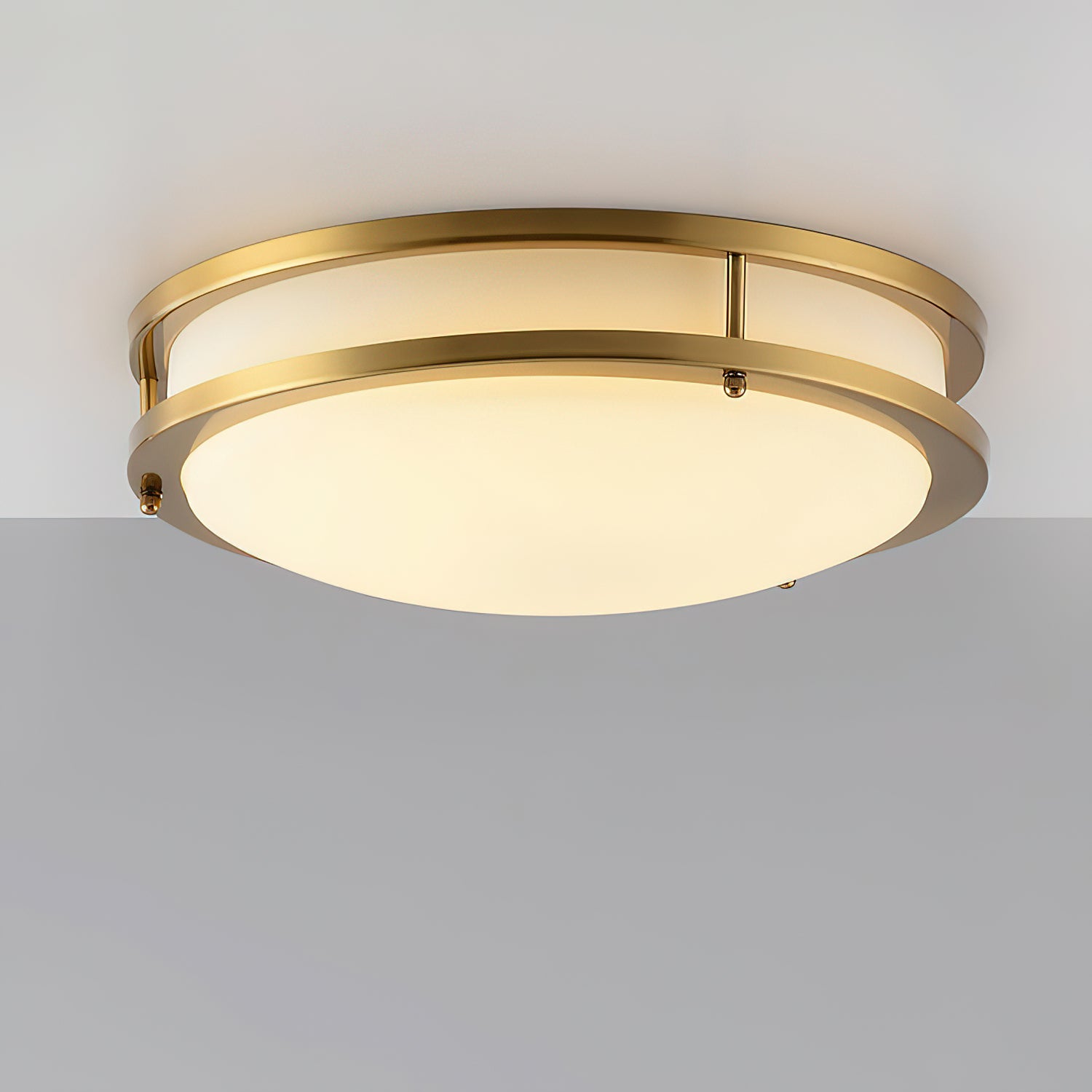 Bellacor Ceiling Lamp