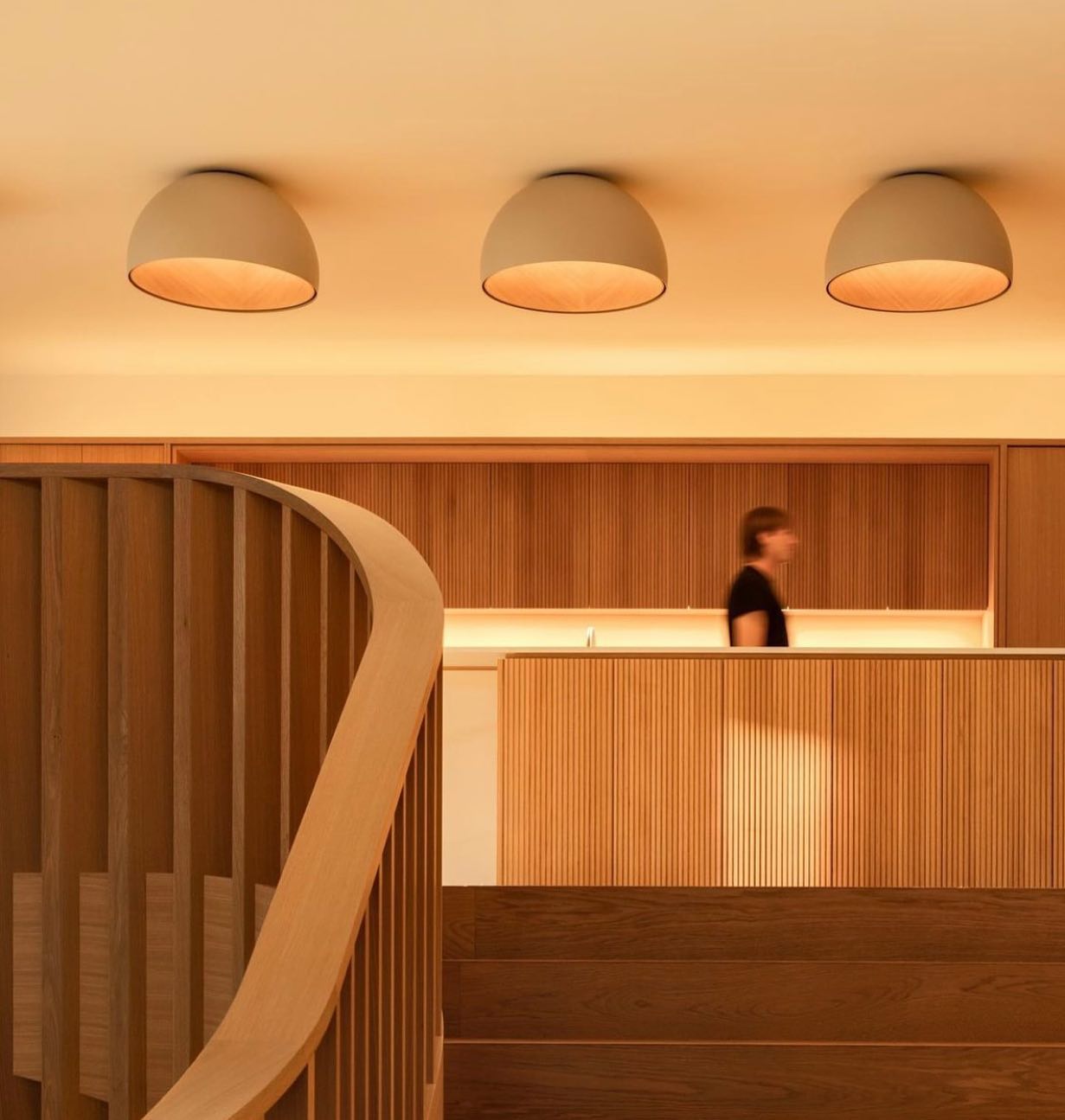 デュオ シーリングランプ