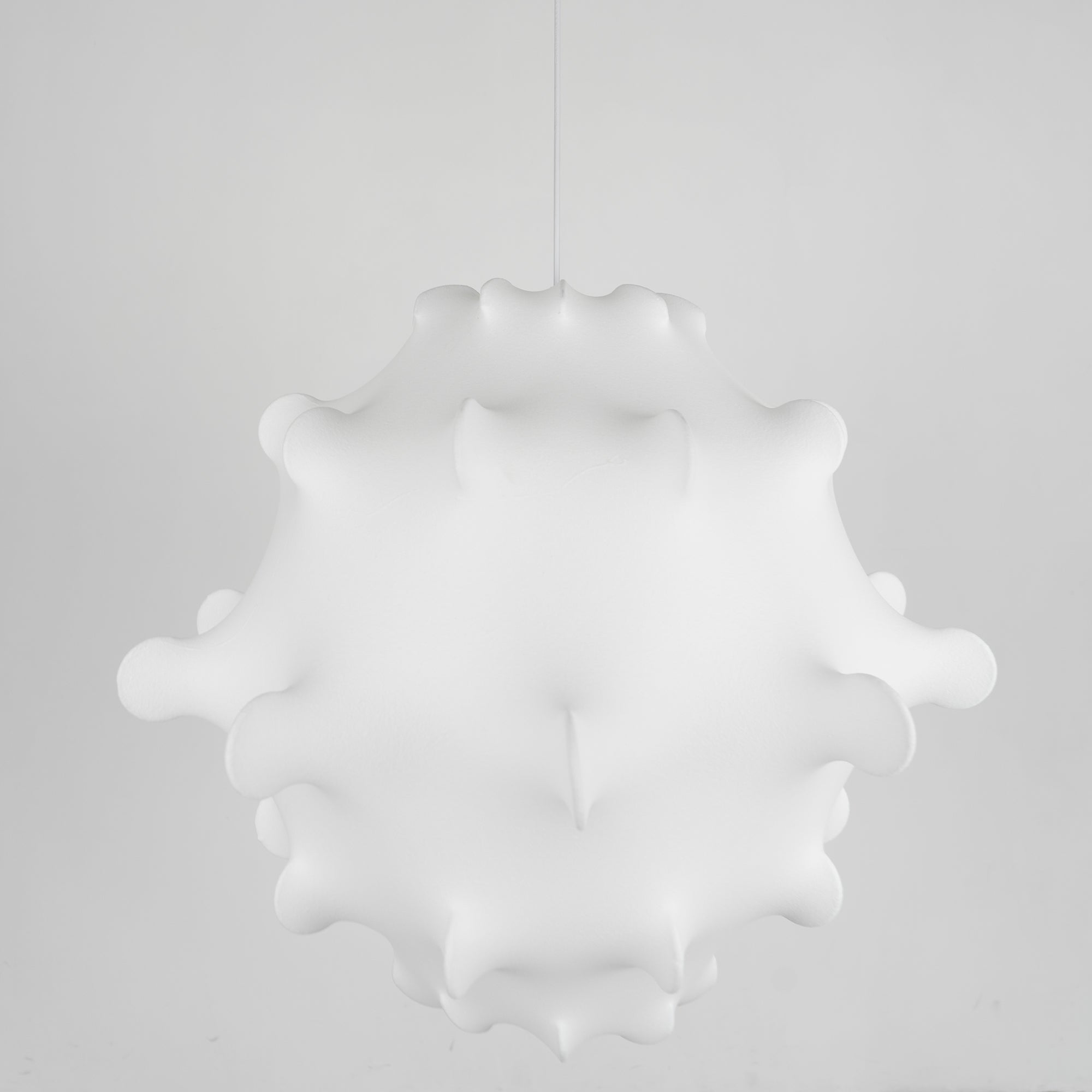 Taraxacum Suspension Lamp