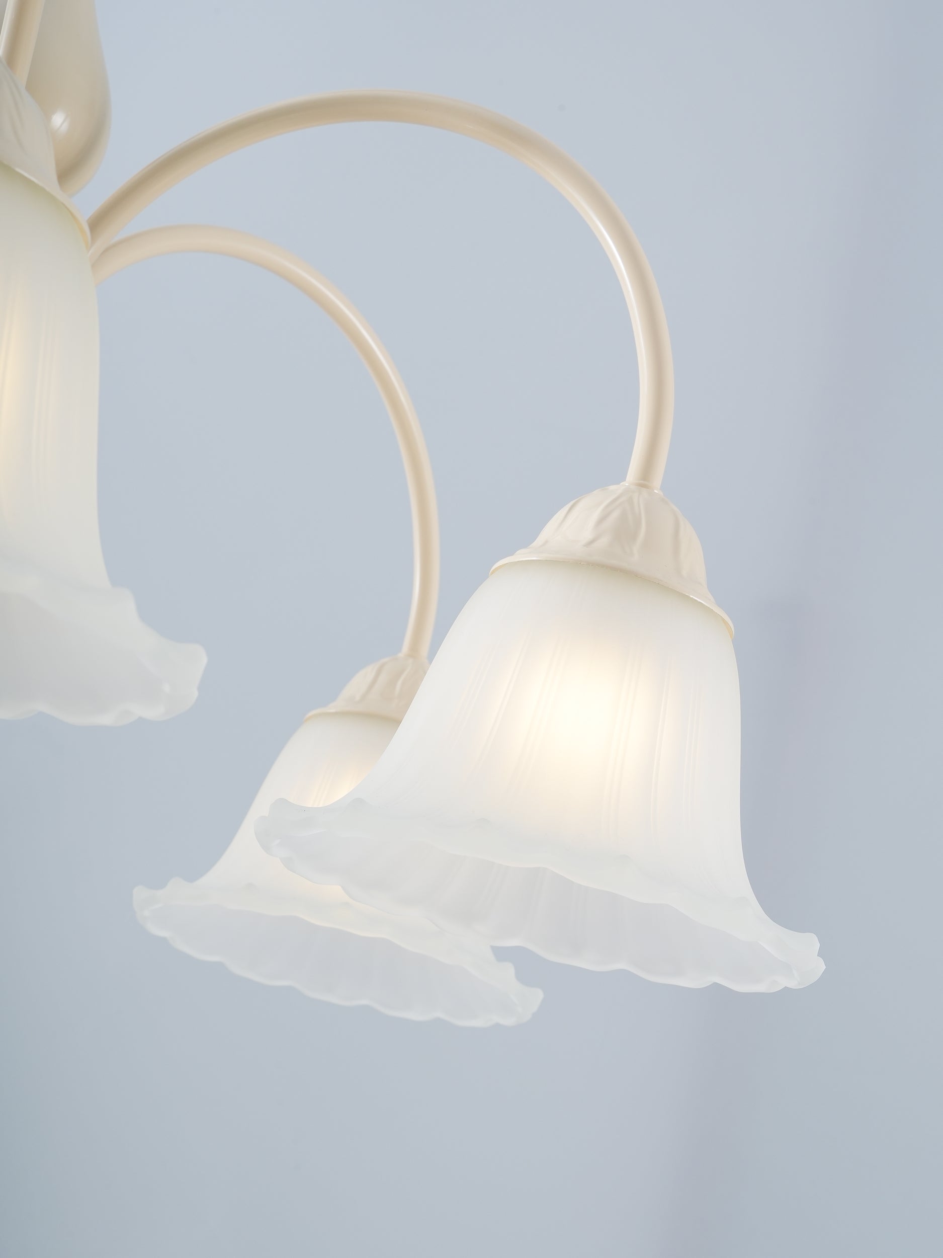 カメリアシャンデリア