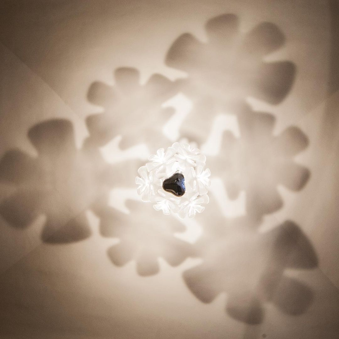 Chlorophilia Suspension Light