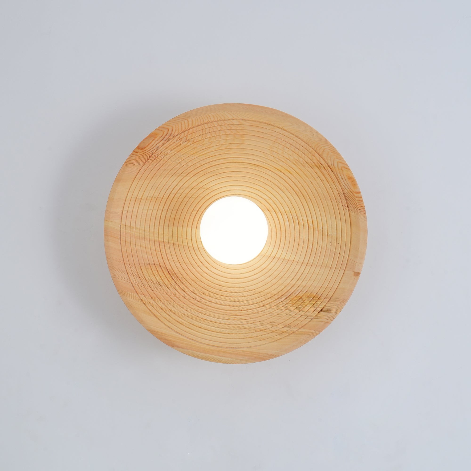 Annual Ring Wall Lamp