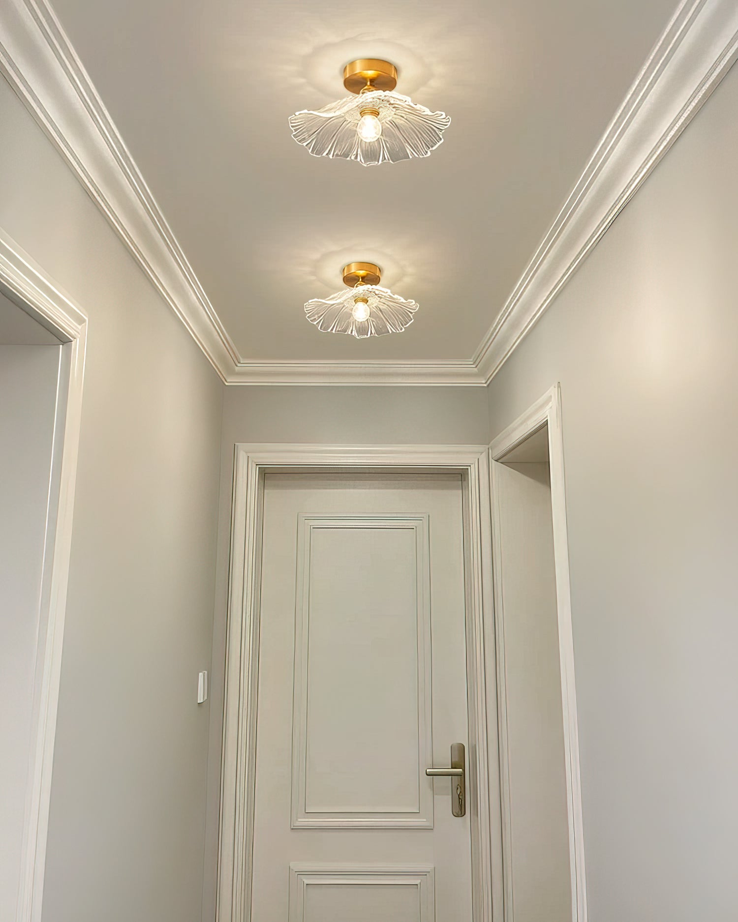 Micle Ceiling light