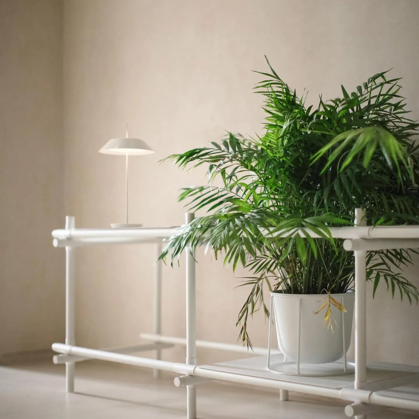 メイフェア テーブルランプ