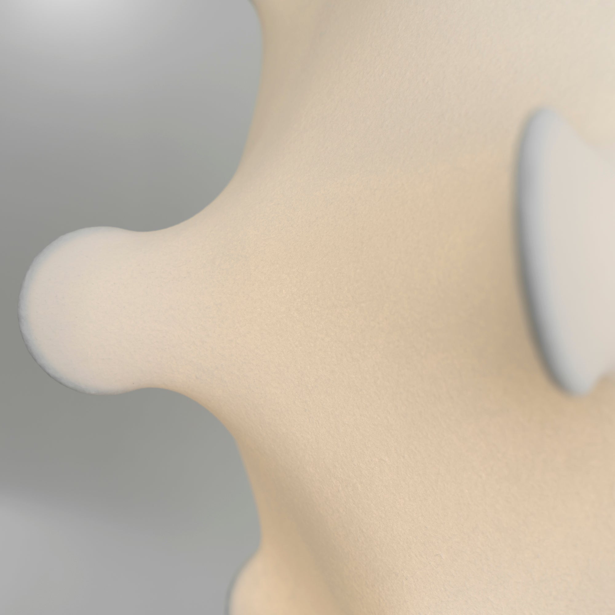 Taraxacum Suspension Lamp