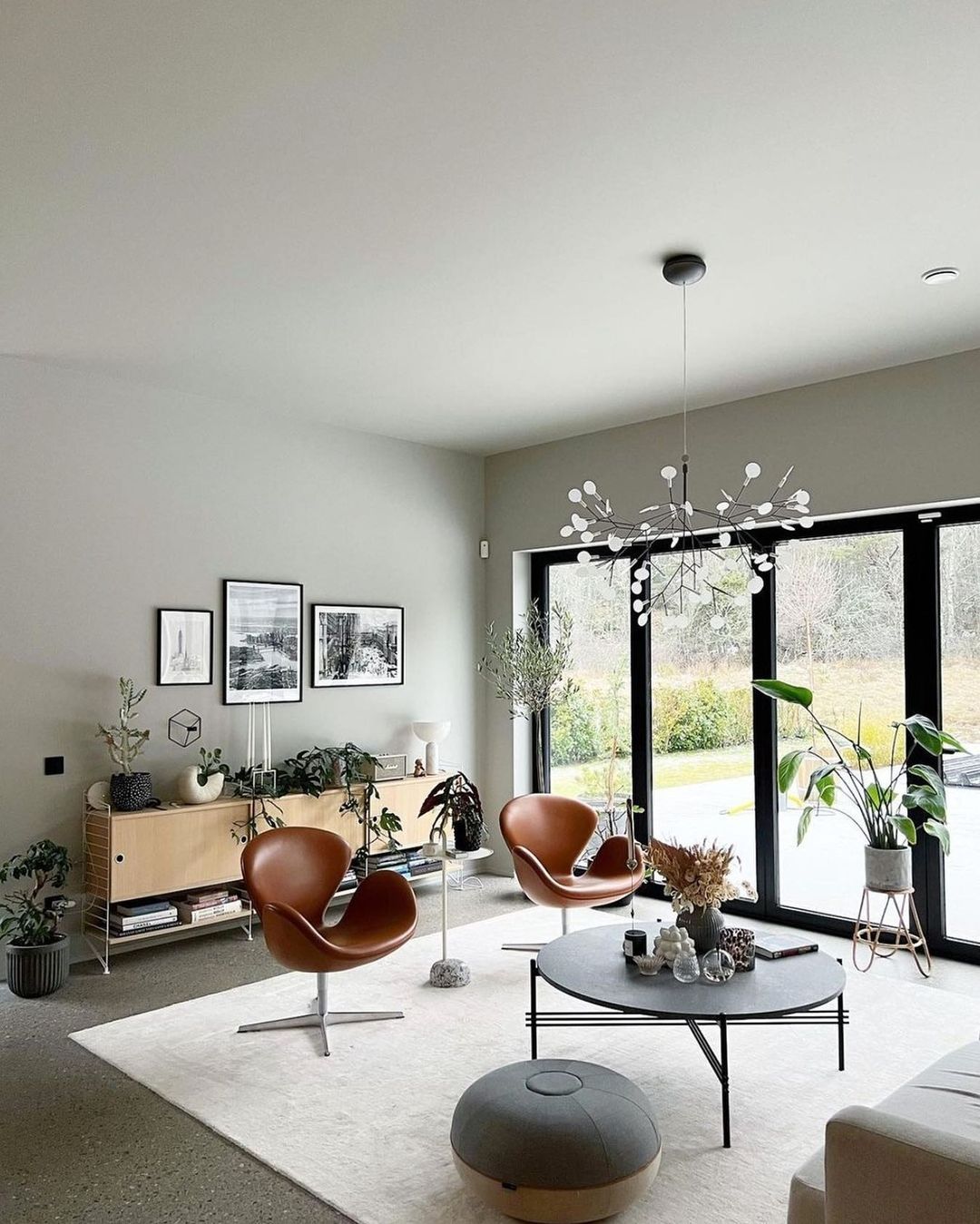 ヘラクレウム ブラック シャンデリア