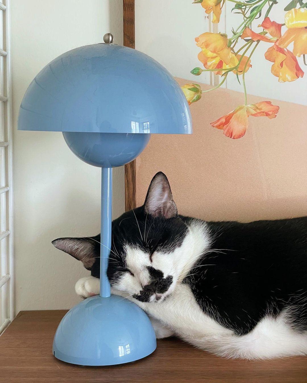 植木鉢ポータブルテーブルランプ