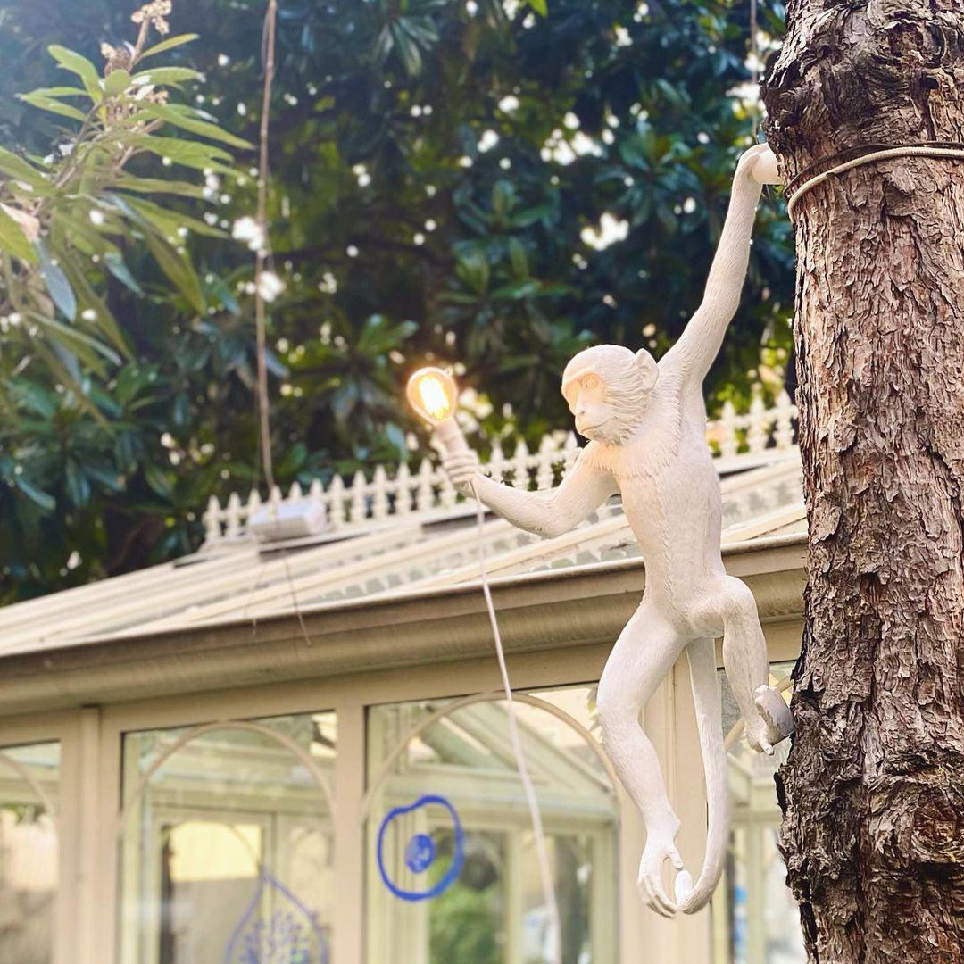 モンキーウォールランプ