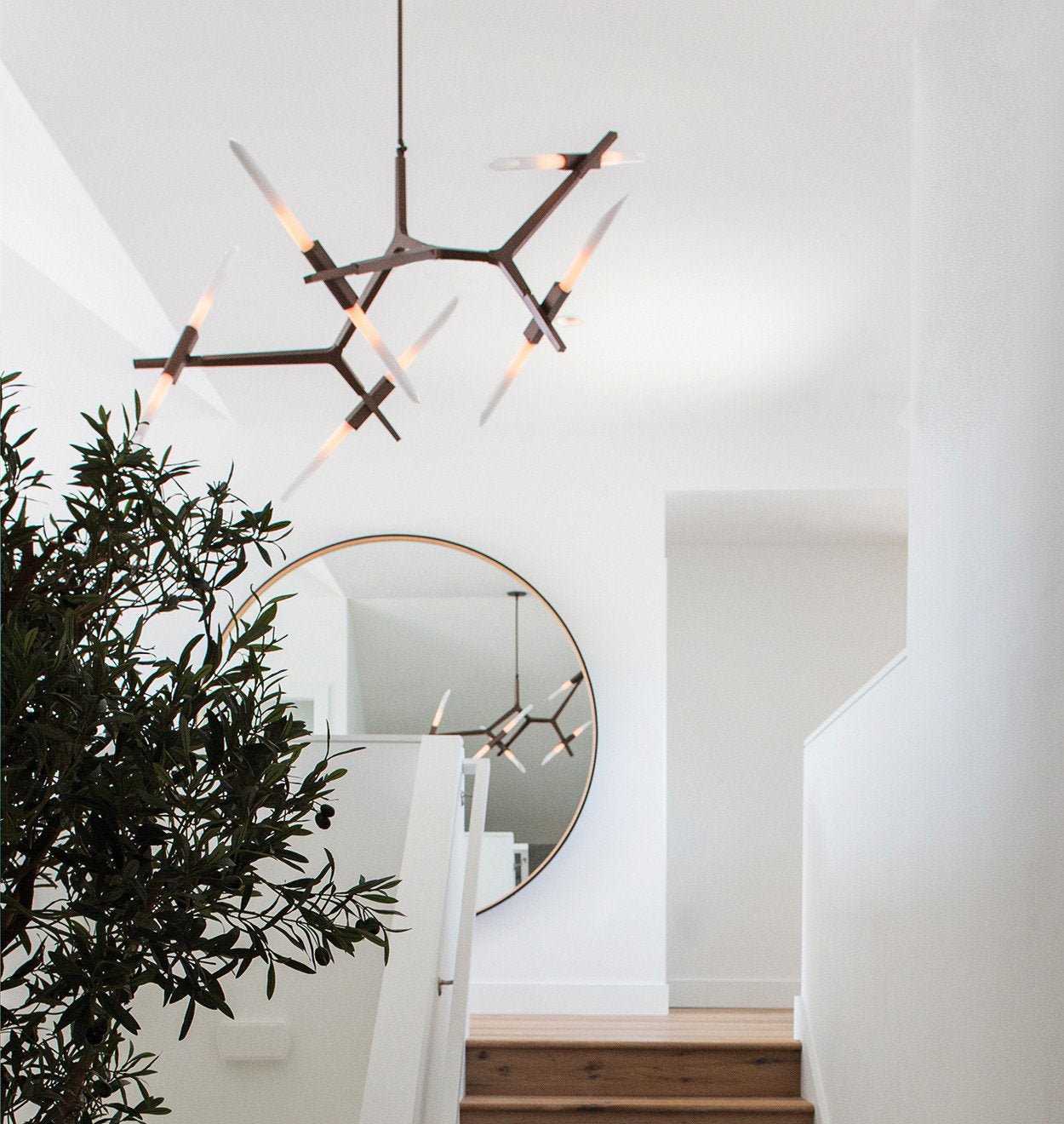 Tree Branch Chandelier