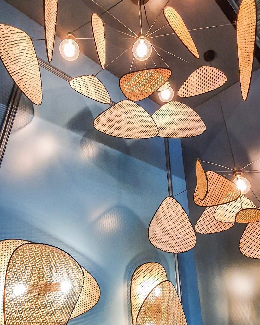 スクリーンカナージュサスペンション