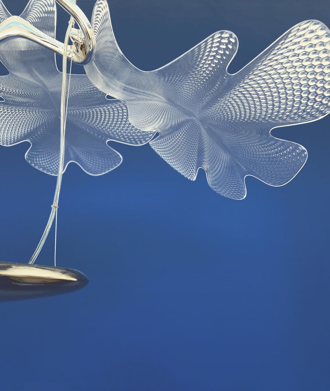 Chlorophilia Suspension Light