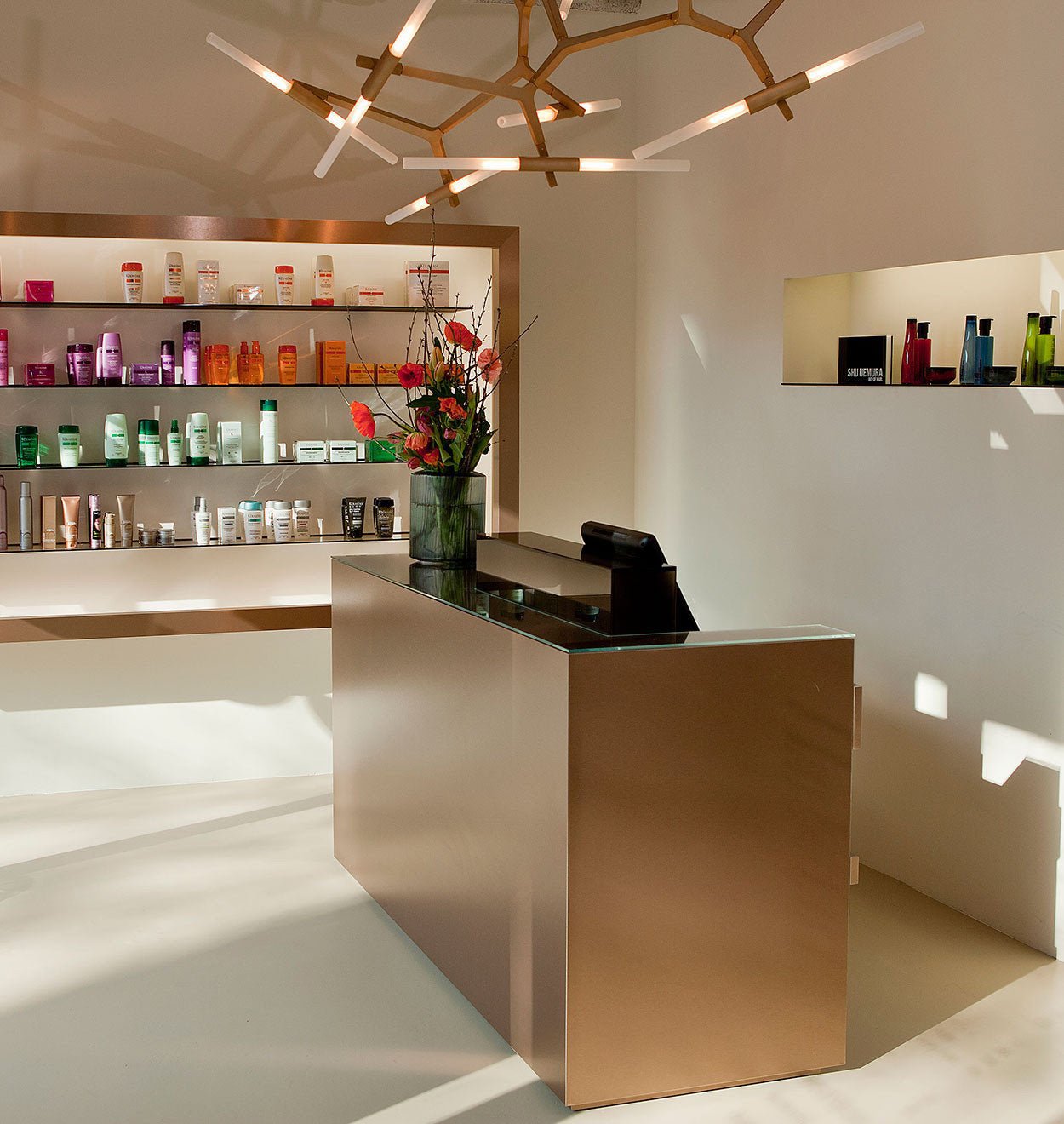 木の枝のシャンデリア