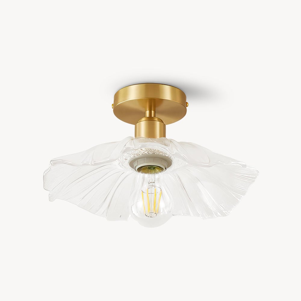 Micle Ceiling light