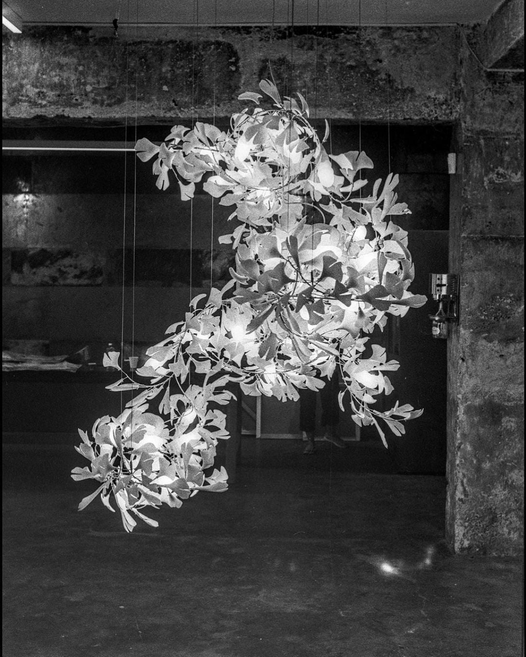 Gingko Chandelier C