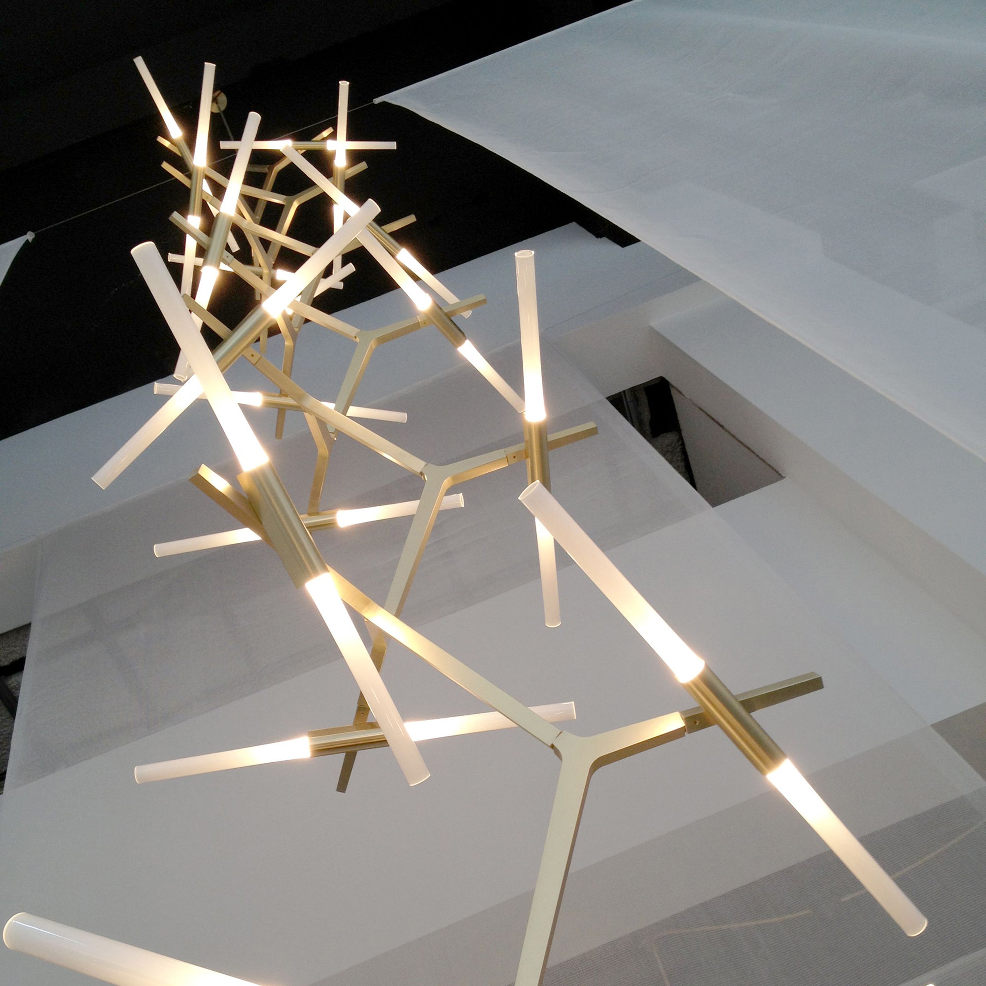 木の枝のシャンデリア